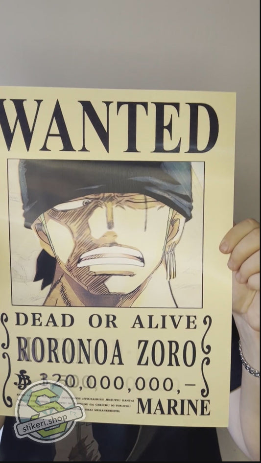 WANTED ONE PIECE 3D Poster